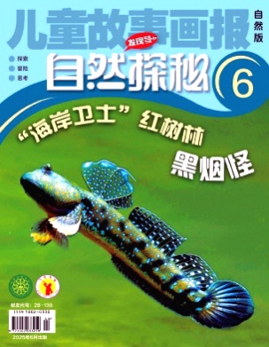 儿童故事画报杂志